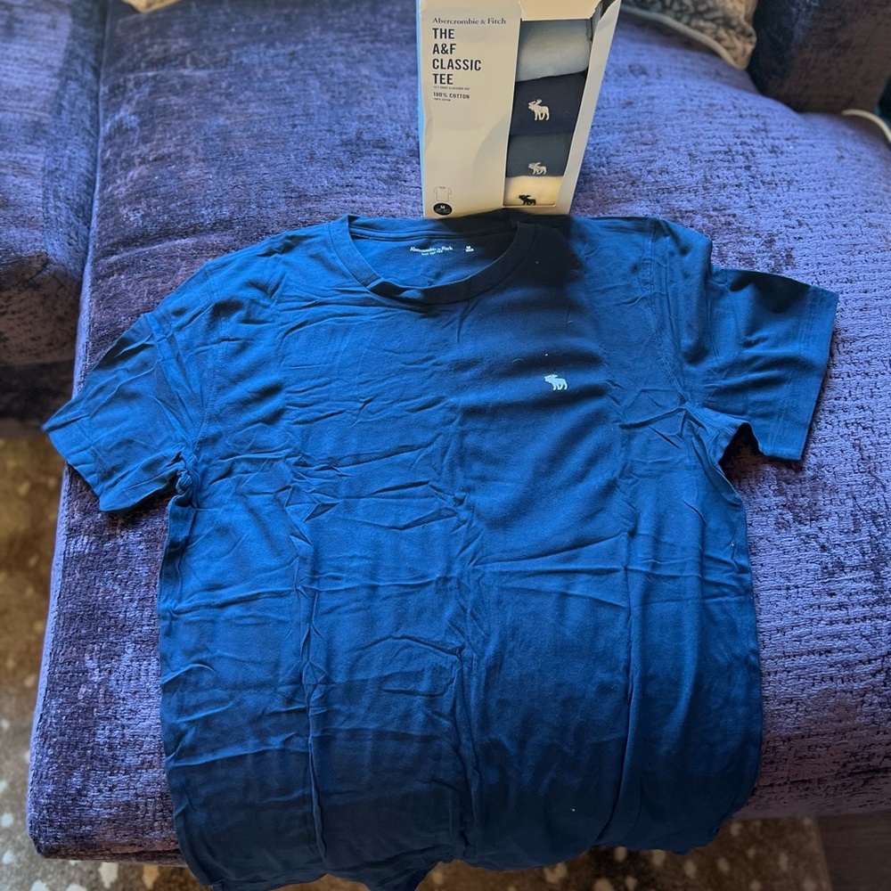 Abercrombie and Fitch Classic Tee 5pk - blues; size M